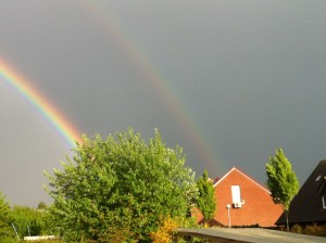 regenbogen