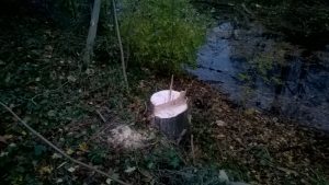 wp_20161111_16_49_05_pro