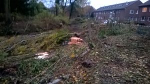 wp_20161111_16_49_20_pro