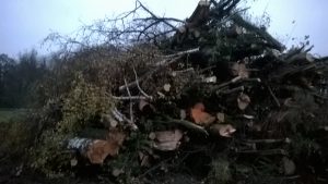 wp_20161111_16_56_59_pro-1