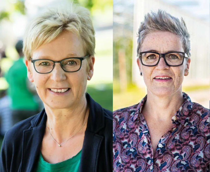 GRÜNE unterstreichen die große Bedeutung der Bundestagswahl auch für Münster