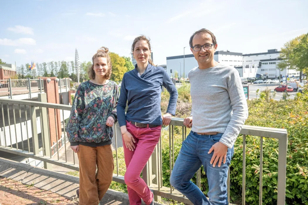Mehr Schutz für Münsters Bäume – Baumschutzsatzung jetzt beschließen!