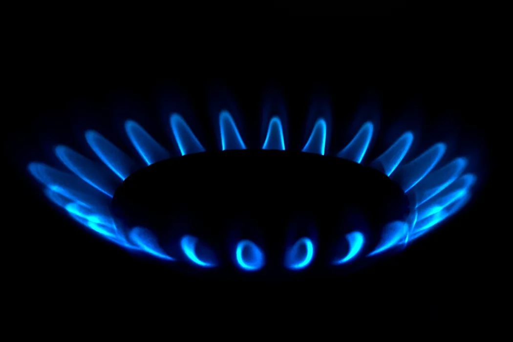 GRÜNE: Stadt Münster muss sofort Energie sparen