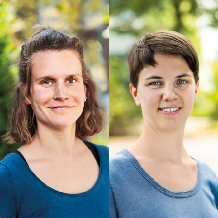 GRÜNE: Sauberer Strom bald auch aus Münsters Altstadt